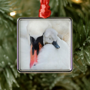Niedliche Kleintiere Mutter und Baby Mute Swan Ornament Aus Metall