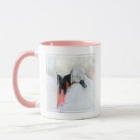 Niedliche Kleintiere | Mutter und Baby Mute Swan