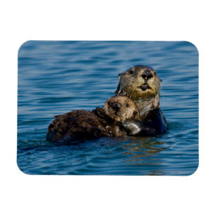 Niedliche Kleintiere   Mutter und Baby Sea Otter Magnet