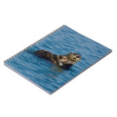 Niedliche Kleintiere | Mutter und Baby Sea Otter Notizblock (Linke Seite)