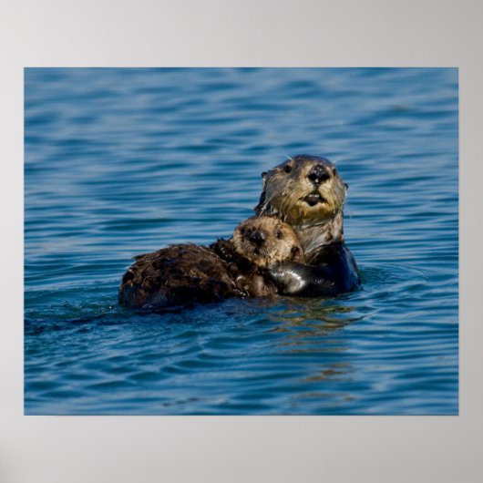 Niedliche Kleintiere | Mutter und Baby Sea Otter Poster (Vorne)
