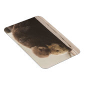Niedliche Kleintiere | Neugeborene Otter Pup Magnet (Rechte Seite)
