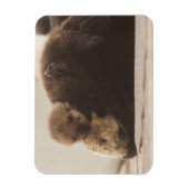 Niedliche Kleintiere | Neugeborene Otter Pup Magnet (Vertikal)