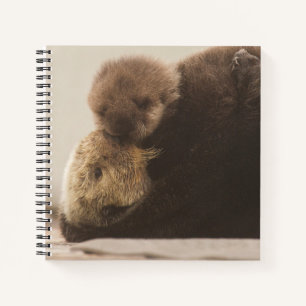 Niedliche Kleintiere   Neugeborene Otter Pup Notizblock