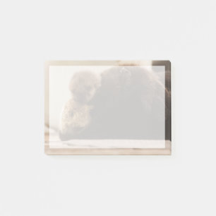 Niedliche Kleintiere Neugeborene Otter Pup Post-it Klebezettel