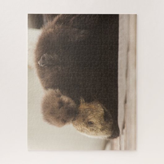 Niedliche Kleintiere | Neugeborene Otter Pup Puzzle (Vertikal)