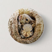 Niedliche Kleintiere | Neugierige Baby-Eichhörnche Button (Vorderseite)
