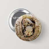 Niedliche Kleintiere | Neugierige Baby-Eichhörnche Button (Vorne & Hinten)