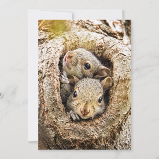 Niedliche Kleintiere | Neugierige Baby-Eichhörnche Dankeskarte (Vorderseite)
