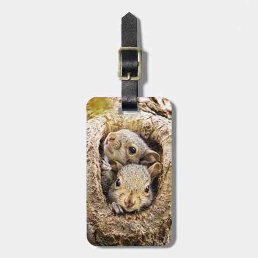 Niedliche Kleintiere | Neugierige Baby-Eichhörnche Gepäckanhänger (Vorderseite vertikal)