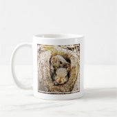Niedliche Kleintiere | Neugierige Baby-Eichhörnche Kaffeetasse (Links)