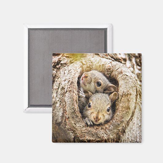 Niedliche Kleintiere | Neugierige Baby-Eichhörnche Magnet (Vorderseite/Rückseite)