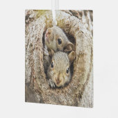 Niedliche Kleintiere | Neugierige Baby-Eichhörnche Ornament Aus Glas (Vorderseite links)