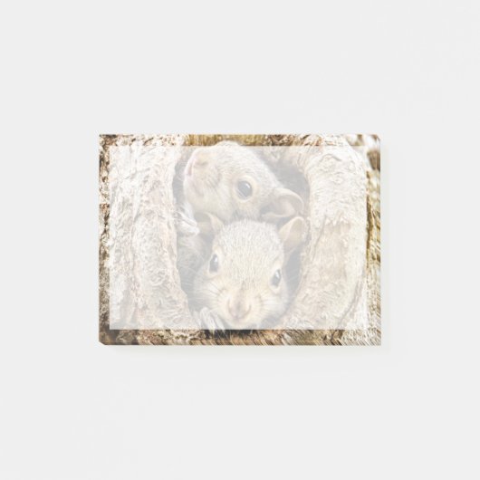 Niedliche Kleintiere | Neugierige Baby-Eichhörnche Post-it Klebezettel (Vorderseite)