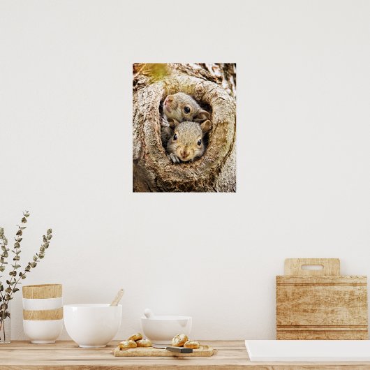 Niedliche Kleintiere | Neugierige Baby-Eichhörnche Poster (Küche)