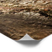 Niedliche Kleintiere | Neugierige Baby-Eichhörnche Poster (Ecke)