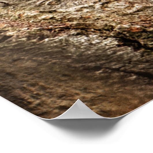 Niedliche Kleintiere | Neugierige Baby-Eichhörnche Poster (Ecke)