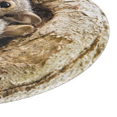 Niedliche Kleintiere | Neugierige Baby-Eichhörnche Schneidebrett (Ecke)