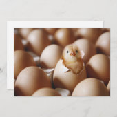 Niedliche Kleintiere | New Baby Chick Dankeskarte (Vorne/Hinten)