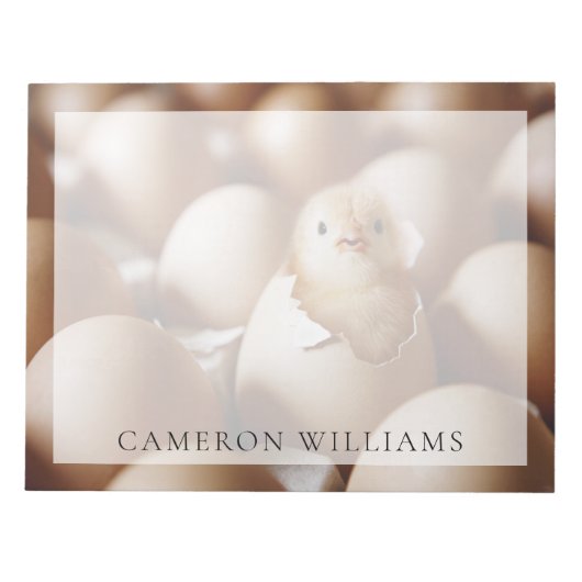 Niedliche Kleintiere | New Baby Chick Notizblock (Vorderseite)