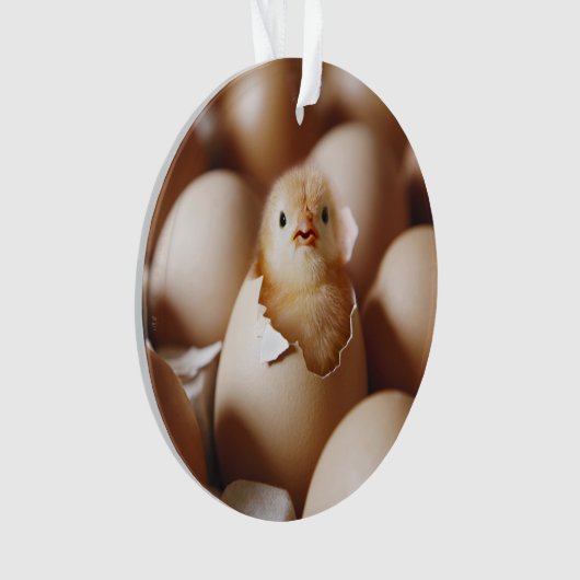 Niedliche Kleintiere | New Baby Chick Ornament (Vorderseite)