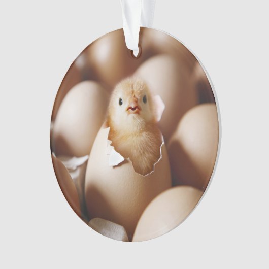 Niedliche Kleintiere | New Baby Chick Ornament (Vorderseite)