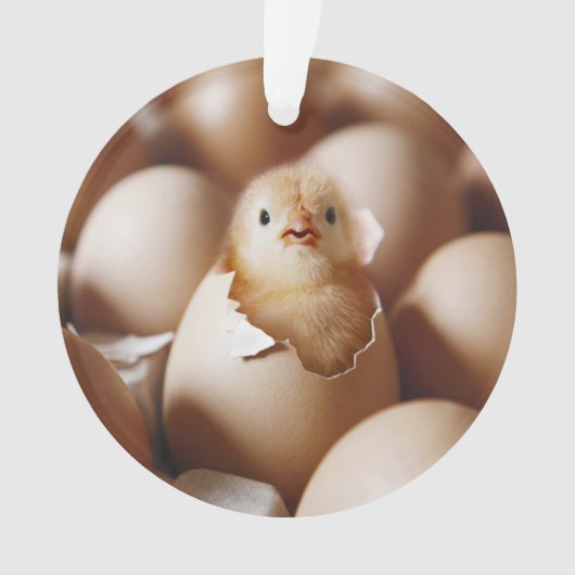 Niedliche Kleintiere | New Baby Chick Ornament (Vorderseite)