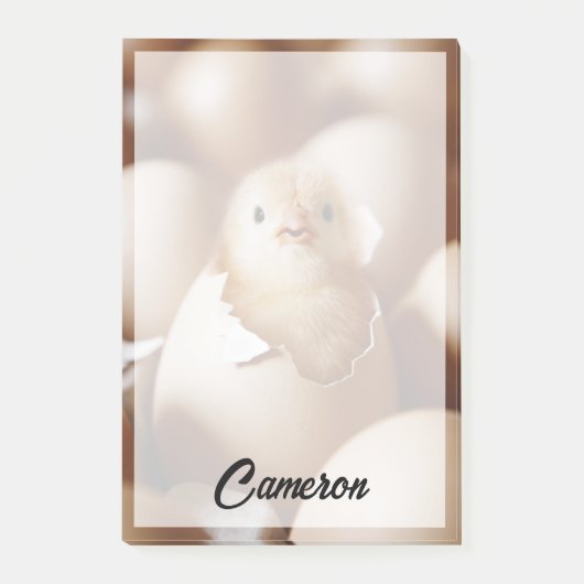 Niedliche Kleintiere | New Baby Chick Post-it Klebezettel (Vorderseite)