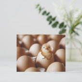Niedliche Kleintiere | New Baby Chick Postkarte (Stehend Vorderseite)