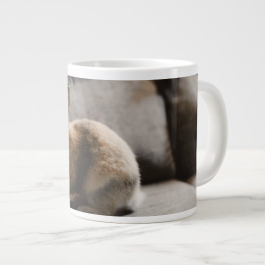 Niedliche Kleintiere | Niederländische Zwergkaninc Jumbo-Tasse (Vorderseite Rechts)