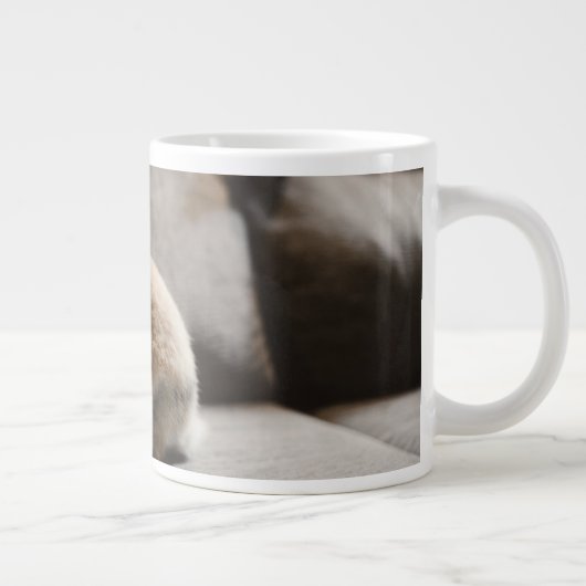 Niedliche Kleintiere | Niederländische Zwergkaninc Jumbo-Tasse (Rechts)