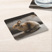 Niedliche Kleintiere | Niederländische Zwergkaninc Rechteckiger Pappuntersetzer (angewinkelt)