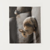 Niedliche Kleintiere | Niederländische Zwergkaninc Wandteppich (Vorderseite)