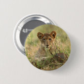 Niedliche Kleintiere | Niedlich Baby Lion Cub Button (Vorne & Hinten)