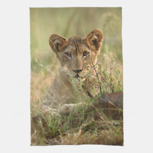 Niedliche Kleintiere   Niedlich Baby Lion Cub Geschirrtuch