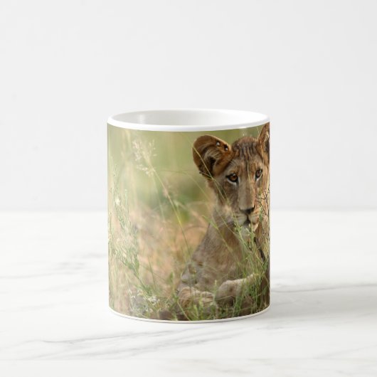 Niedliche Kleintiere | Niedlich Baby Lion Cub Kaffeetasse (Mittel)