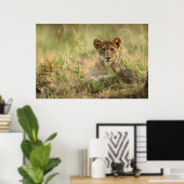 Niedliche Kleintiere | Niedlich Baby Lion Cub Poster (Heimbüro)