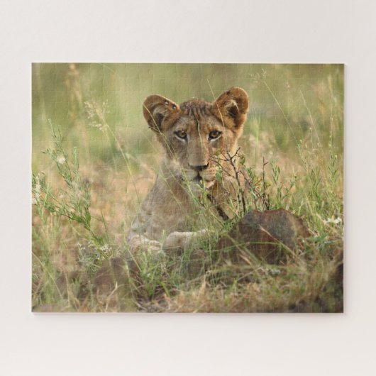 Niedliche Kleintiere | Niedlich Baby Lion Cub Puzzle (Horizontal)