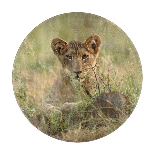 Niedliche Kleintiere | Niedlich Baby Lion Cub Schneidebrett (Vorderseite)