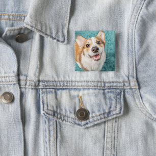 Niedliche Kleintiere   Niedlich Corgi Puppy Smile Button