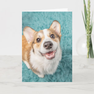 Niedliche Kleintiere Niedlich Corgi Puppy Smile Karte