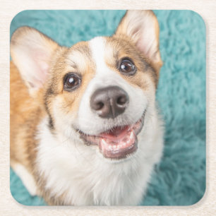 Niedliche Kleintiere Niedlich Corgi Puppy Smile Rechteckiger Pappuntersetzer