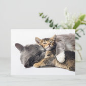 Niedliche Kleintiere | Niedlich Kitten Hug Dankeskarte (Stehend Vorderseite)