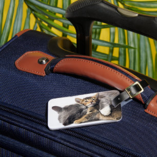 Niedliche Kleintiere   Niedlich Kitten Hug Gepäckanhänger