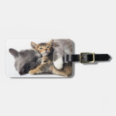 Niedliche Kleintiere | Niedlich Kitten Hug Gepäckanhänger (Vorderseite horizontal)
