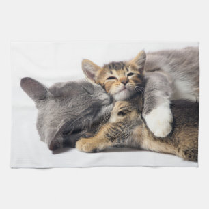 Niedliche Kleintiere Niedlich Kitten Hug Geschirrtuch