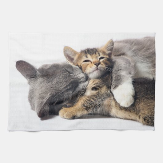 Niedliche Kleintiere | Niedlich Kitten Hug Geschirrtuch (Horizontal)