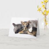 Niedliche Kleintiere | Niedlich Kitten Hug Karte (Gelbe Blume)