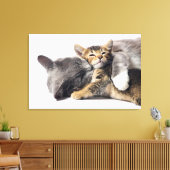 Niedliche Kleintiere | Niedlich Kitten Hug Leinwanddruck (Insitu (Wohnzimmer))