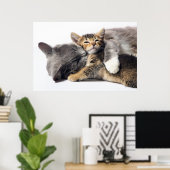 Niedliche Kleintiere | Niedlich Kitten Hug Poster (Heimbüro)